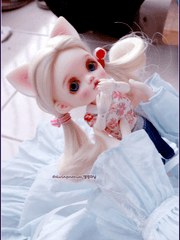 인형 기본 설정