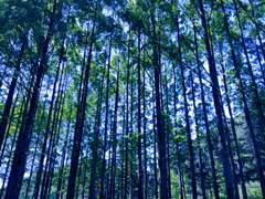 천애지각天涯地角 0