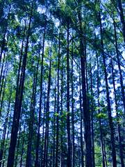 청풍명월관[淸風明月館]