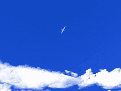 대잇기 플레이-18