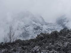 [원소조조] 동빙가절