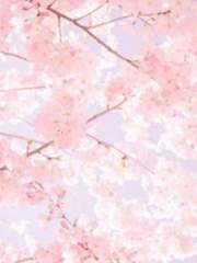 시골 청년의 연애 사정