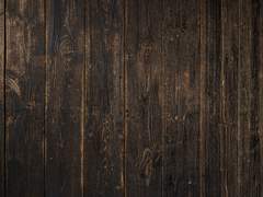 그곳에 그녀가 있었다