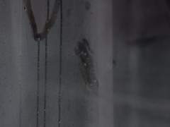 변덕스런 계절 _ 004.