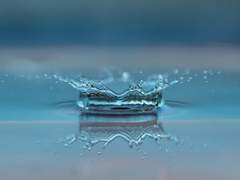 사람은 참으로 나약하여,