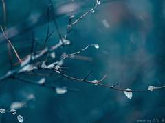 사랑스러운 감옥