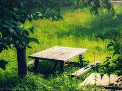 오늘도 날씨는 맑음!