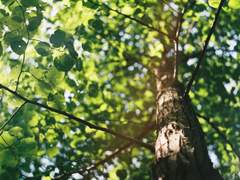 [해진세훈]答辭-2