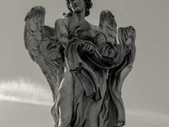 갈라테아의 이야기