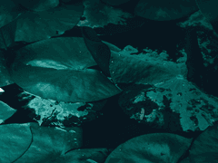 [망기무선]_「千尋, 山綠」 2