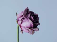 미학 시리즈 - 타이밍의 미학