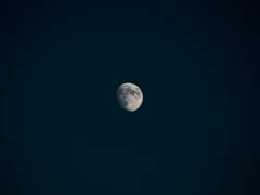 [희특] 달빛의 연주자