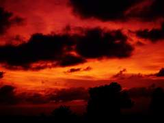 윤중청자/윤중구청] 제 0지옥