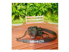 사진 한 장 찍어드릴까요?