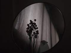 [인구익준] 먹이사슬 1