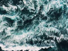 성숙과 미성숙의 차이점 1