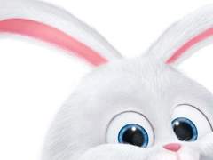 [정진/국진]험난한 토끼키우기(하)