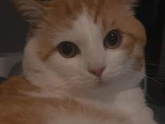 조금은 의미있는 생활중