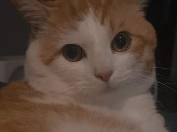 조금은 의미있는 생활중