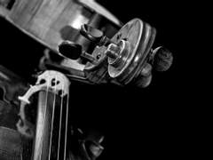 [채햄/햄채] Chaconne