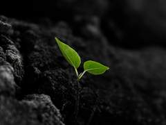 [로오히/나인] 열세 번째 계절