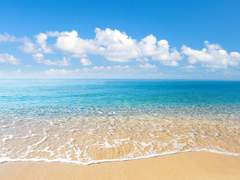 [로오히] 카르티스의 이야기