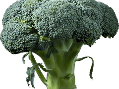 활동지를 진짜 완전히 옮겨야겠다.