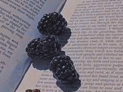 愛하는 共謀者.