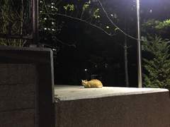 오천원에 부친 불안