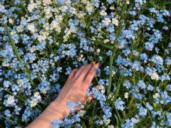 ღ 𝒎𝒆𝒓𝒓𝒚-𝒈𝒐-𝒓𝒐𝒖𝒏𝒅 3/3