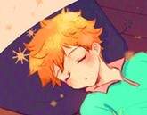 하이큐 히나른 모음