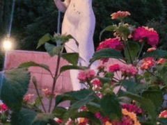 [ Lowell Grencella/슬리데린/순혈/포르스 ]