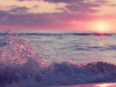 [ 치트퍼블 ] 레어 너머의 열대야 4