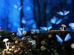 [미사와] 썰 백업 2 夢客