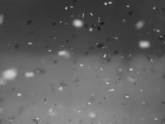 [NAEZD] 8월호, 병철과의 만남