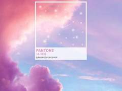 친애하는 나의 친구에게