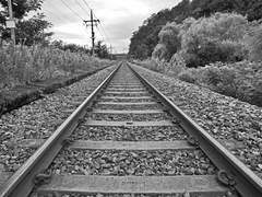 리무통스-[당신과 함께]