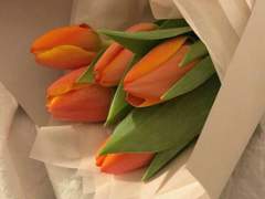 [카디] Practice makes perfect