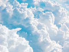 [공지] 뷔진 외의 진른 커플이 올라올 수 있습니다.