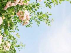 어쩌다 로맨스 B