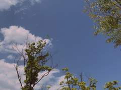 누구의 이야기-1