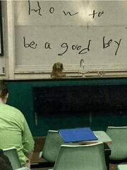 Jesus lived in a motel room