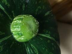 【1】 더위 먹은 일기