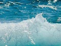 카와카미 유키 20 경호원