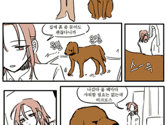 비크로스가 개라면