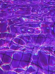 그 헤테로를 조심하세요 完