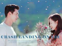 요리하는 윤세리