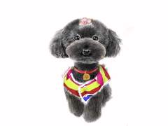 아이패드 적응중