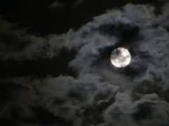 [카오치사] 붉은 색을 훔치는 박쥐 01