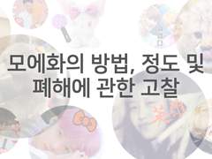 모에화의 방법, 정도 및 폐해에 관한 고찰